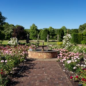 Open Gardens 2022