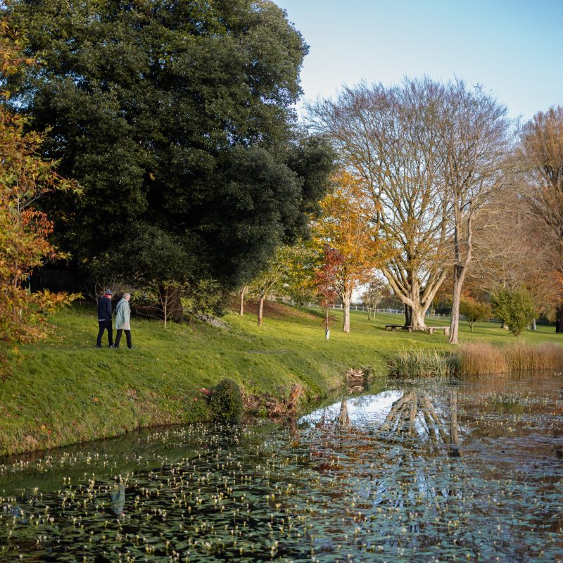 A guide to Autumn Season 2026